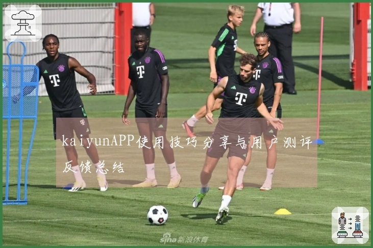 kaiyunAPP使用技巧分享与用户测评反馈总结