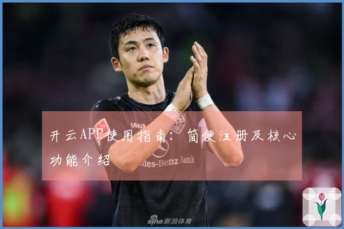 开云APP使用指南：简便注册及核心功能介绍